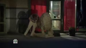 фильм наследник криминальный фильм