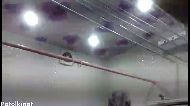 Натяжные потолки в хрущевке смотреть онлайн