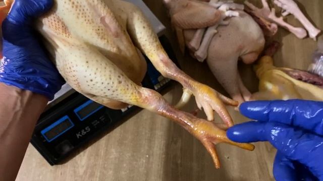 ОСОБЕННОСТИ кур Мини мясные палевые белохвостые Хитрук Елена Украина//Вес тушки петух мини мясные смотреть онлайн