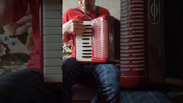 Аккордеон "Cantulia", немецкий, 1/2, " половинка", проверка состояния смотреть онлайн