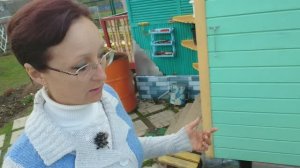 Видео привет с 6 соток 27 апреля 2023 года