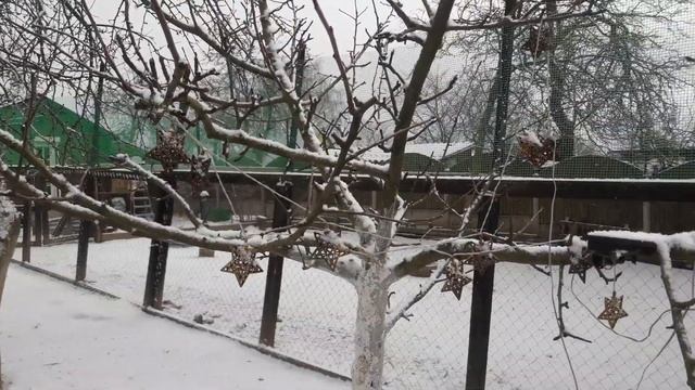 Прощальный жест зимы.Взмахнула снежком напоследок. смотреть онлайн