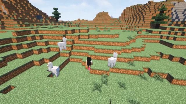 Minecraft Bedrock or Java Edition? Which to choose? - Server.pro смотреть онлайн