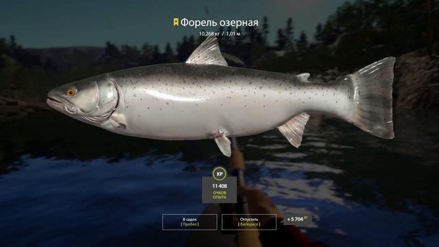 РР4. Трофейная Форель Озерная. Троллинг На КУОРИ. смотреть онлайн