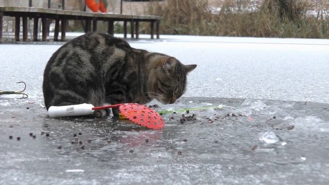 Первый лёд. Рыбацкая Деревня в Юрлово. смотреть онлайн
