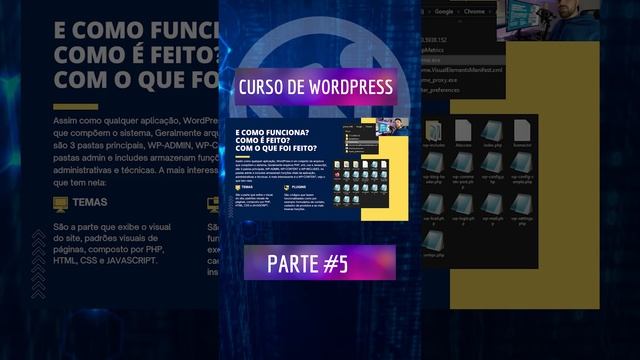 Curso de Wordpress parte #5 #wordpress #marketingdigital смотреть онлайн