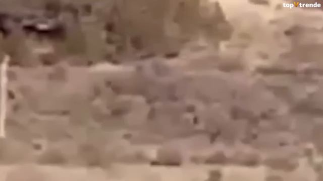 На Камеру Попало То, Что Никто не Должен Был Увидеть! Топ 10 смотреть онлайн