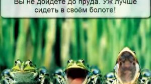 Притча О лягушке, дошедшей до цели