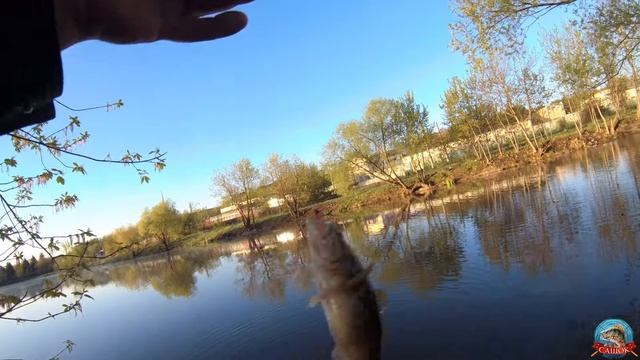 Мормышинг. Новая катушка  Dayo PRESTIGE 800