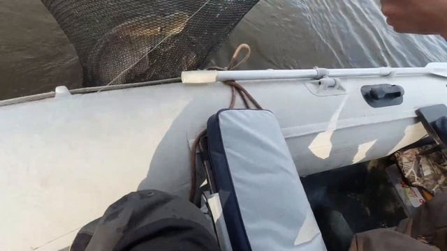 Рекордная щука-гигант из коряжника | Рыбалка на Оби 2022 смотреть онлайн