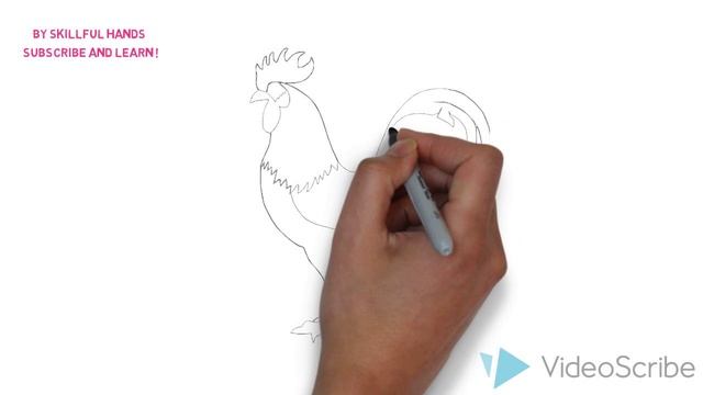 How to Draw a Cock / Как нарисовать петуха смотреть онлайн