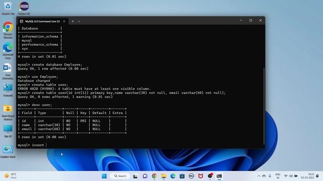 How to install MySQL 8.0.32 on Windows 10/11 with Demo Examples of Database and Table #mysql смотреть онлайн