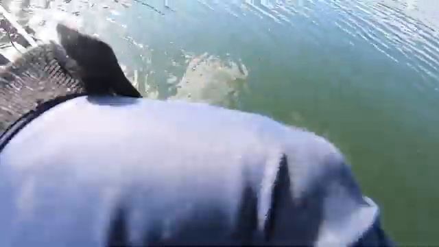 Small Lightweight Outboard Rigging and Setup for use on a Kayak смотреть онлайн