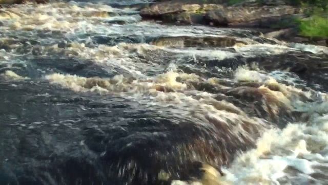 Шуя беломорская.mp4