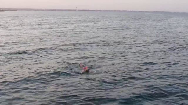 Египет. Хургада.Красное море. смотреть онлайн