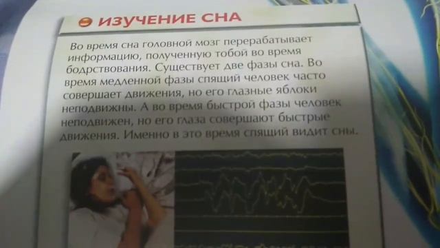 Головной и спинной мозг! смотреть онлайн