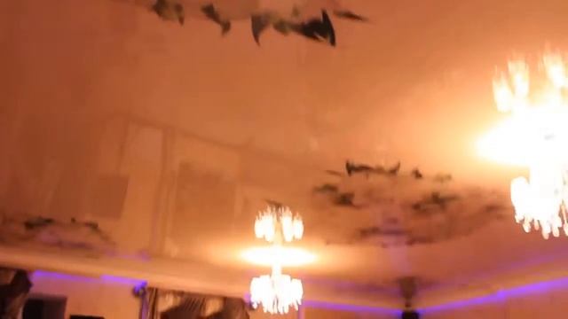 Парящий потолок с фотопечатью в банкетном зале в кафе смотреть онлайн