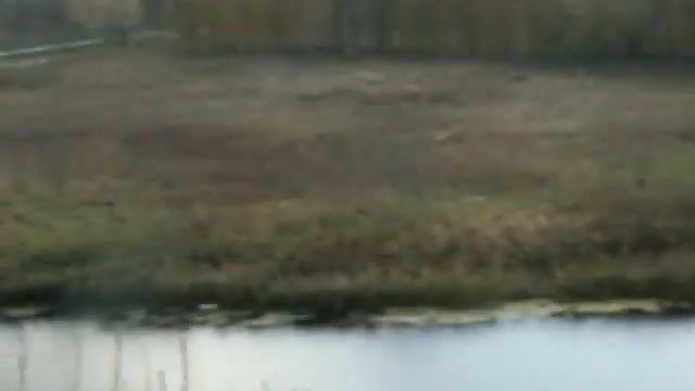 Поездка по Владимир-Суздальскому маршруту смотреть онлайн