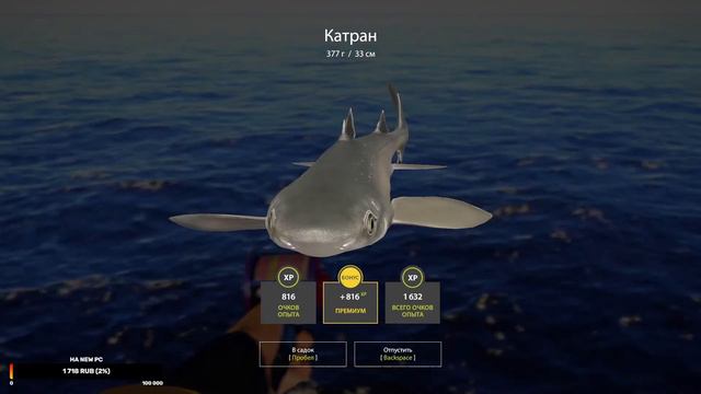 РР4 Морская рыбалочка . RR4 Русская рыбалка 4.