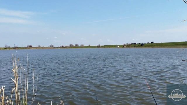 Открываем рыболовный сезон 2023!Завораживающий рассвет!Нашествие мохнатых жуков!И змея по-соседству смотреть онлайн