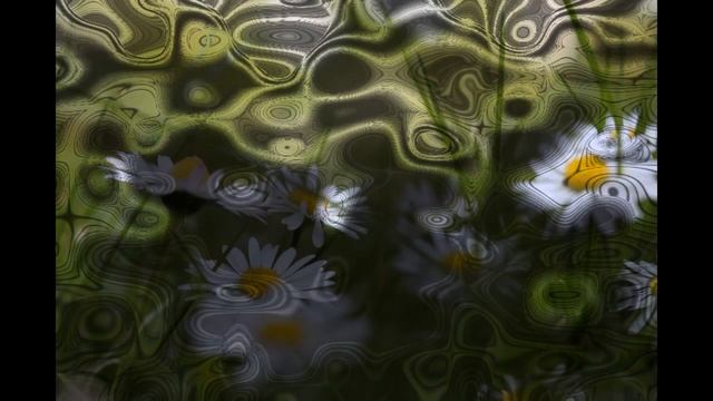 Поэтическая композиция «Стихами поэта о его жизни» смотреть онлайн