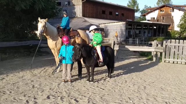 Österreich Pferd Reiten. Австрия школа пони кони. Пони кони. Как дети учатся ездить на лошадях.Спор