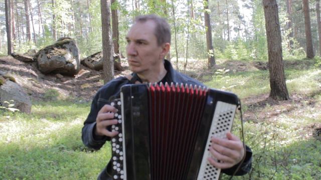 Мелодия песни гр. "Кино" "Спокойная ночь" Кавер. Баян. смотреть онлайн