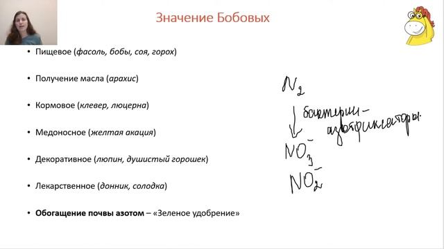 Вебинар 6. Часть 2. Покрытосеменные. смотреть онлайн