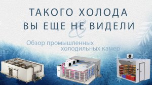 Промышленные холодильные камеры. Полезный обзор холодильного оборудования.