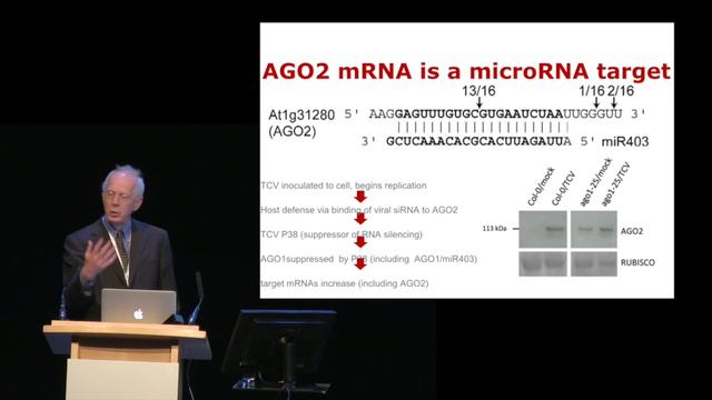 Sir David Baulcombe: 'The Small RNA Link In Antiviral Defence And Epigenetics'