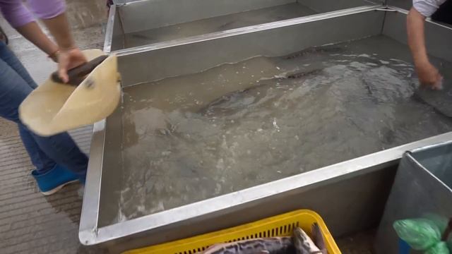Amazing Site Distributes SeaFood & Fish @Chhbar Ampov - Morning Fish Market Scene Show смотреть онлайн