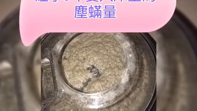 Roboclean 除蟎成效 смотреть онлайн