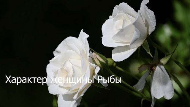 Характер женщины Рыбы смотреть онлайн