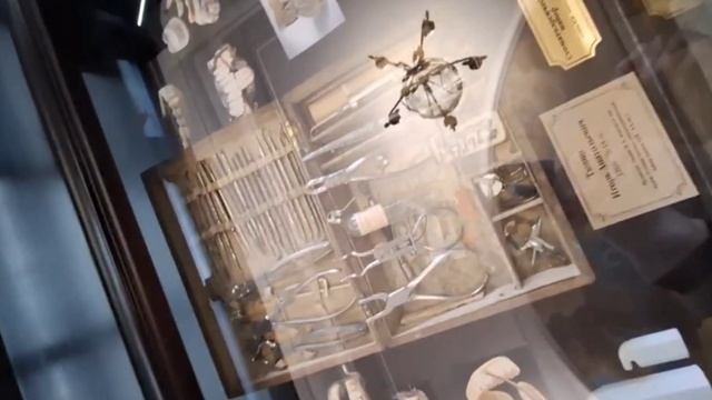 Влог с города Владимир/музеи/прогулки смотреть онлайн