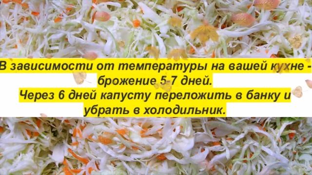 Польза квашеной капусты смотреть онлайн