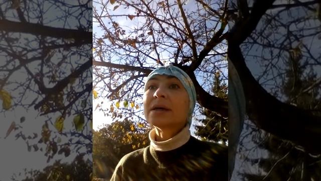 Дачный сезон.Прощание с Дачным сезоном.Мои пожелания всем огородникам. смотреть онлайн