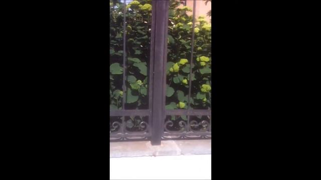 Костёл в Вилейке смотреть онлайн