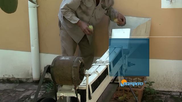 Tuna sin espinas: invento argentino смотреть онлайн