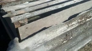 Выгул для цыплят своими руками.