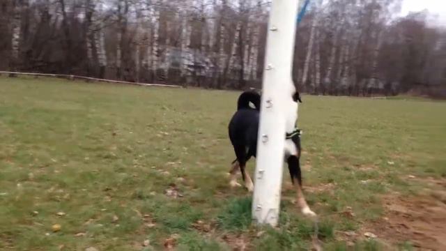 Упражнение - раскачка шеи смотреть онлайн