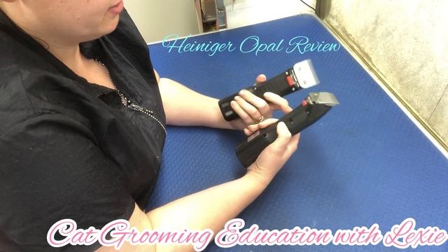 Heiniger Opal Review By Professional Cat And Dog Groomer, Lexie