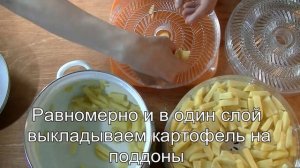 Как сушить картофель. Инструкция.