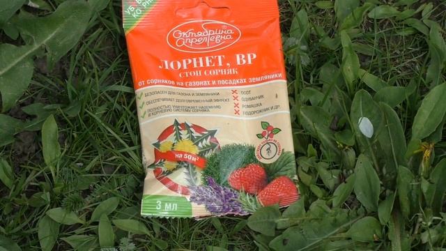 Как бороться с сорняками на газоне смотреть онлайн