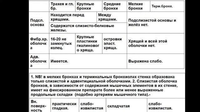 13:50 Дыхательная система смотреть онлайн