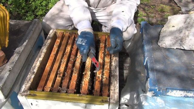 Свищевые матки вышли правильно. смотреть онлайн