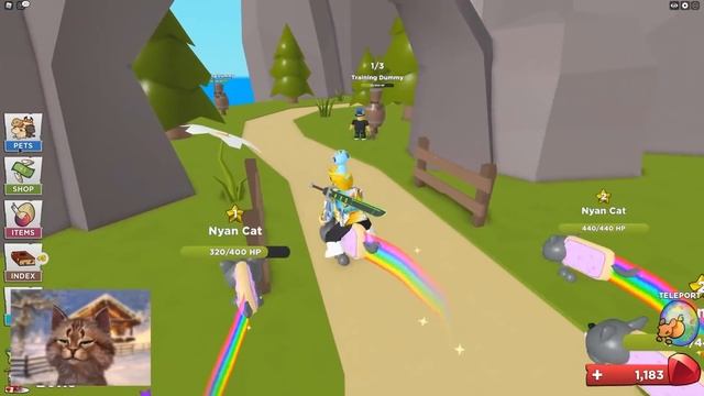 I Became A Level 999,999 Pet Hero In Roblox смотреть онлайн