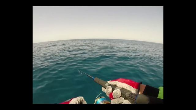 Андрей Питерцов. Ловля акулы