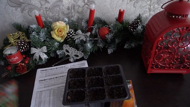 Семена перцев от Агрофирмы СеДеК. Всхожесть ноль! смотреть онлайн