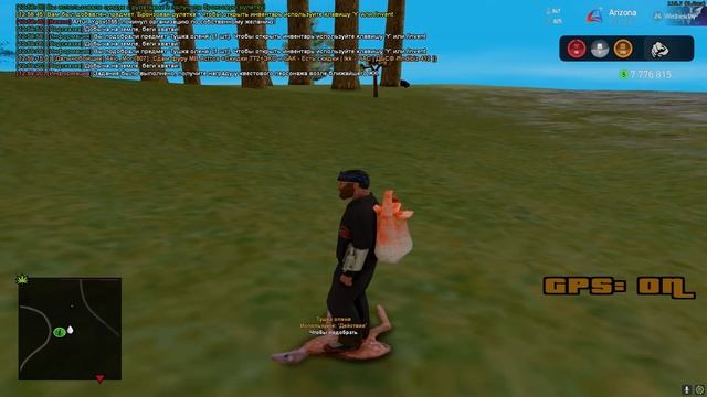 ПУТЬ БОМЖА на АРИЗОНА РП #24 ПРОХОЖУ СЕКРЕТНЫЕ КВЕСТЫ в GTA SAMP! смотреть онлайн