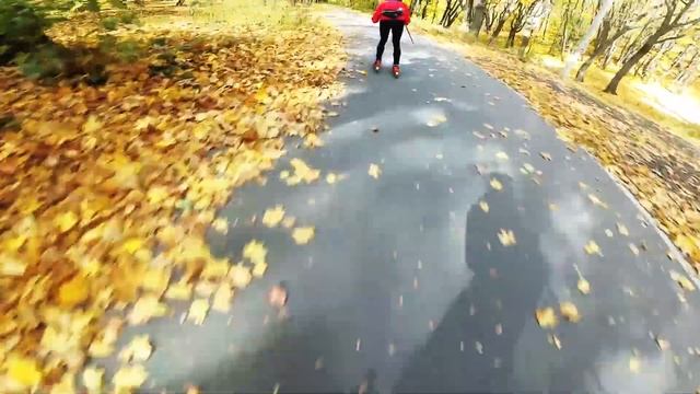 Саратов лыжероллерная трасса условия тренировок октябрь смотреть онлайн